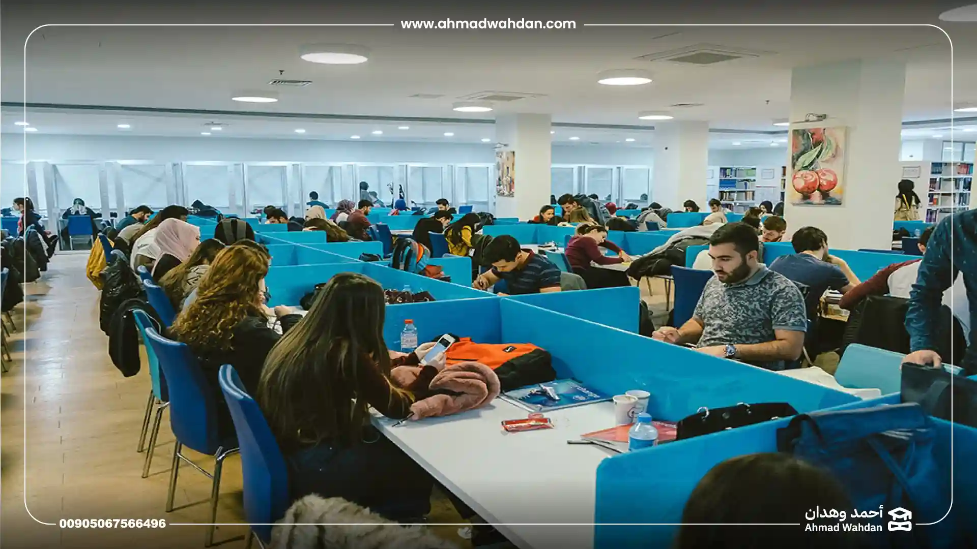 جامعة بيروني